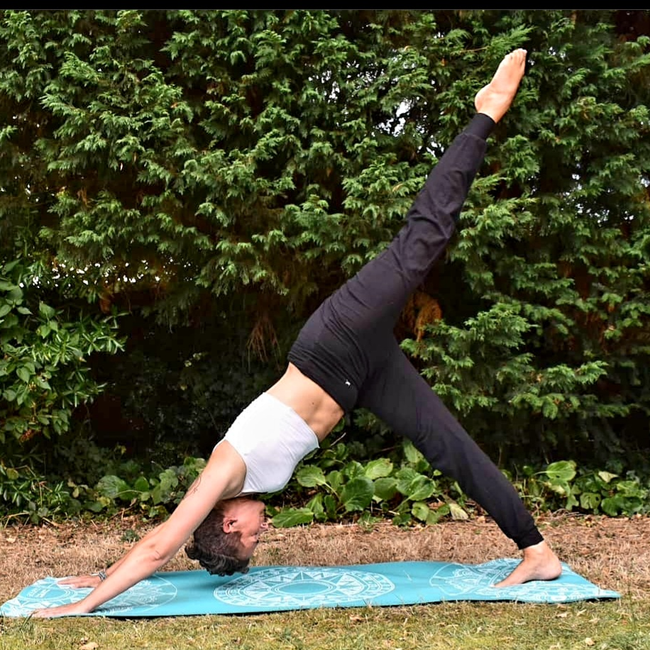 The Forge Martial Arts Academy photo